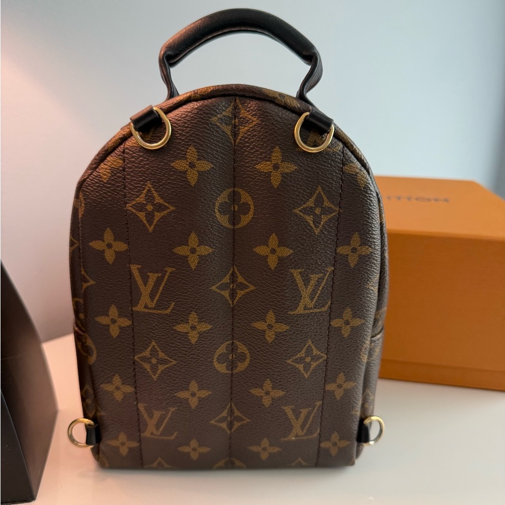 SOLD Louis Vuitton Palm Springs Mini Backpack - Picture 3 of 16